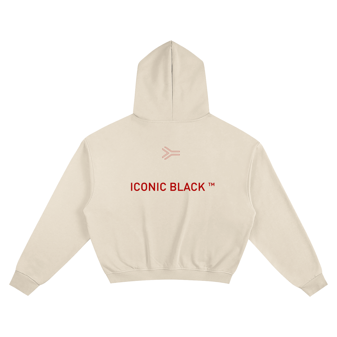 WORD Lines Boxy Hoodie
